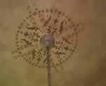 Ceiling Medallion